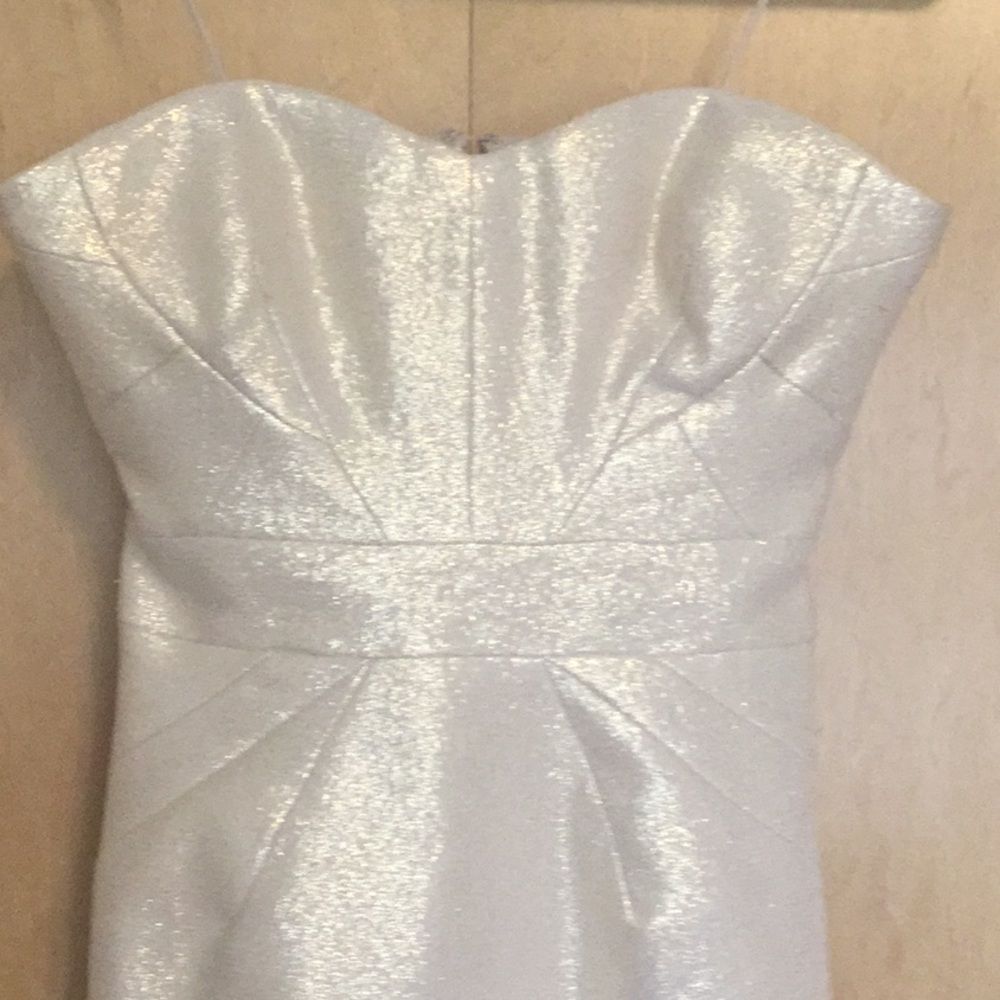 Zac Posen Strapless Dress - Picture 3 of 14